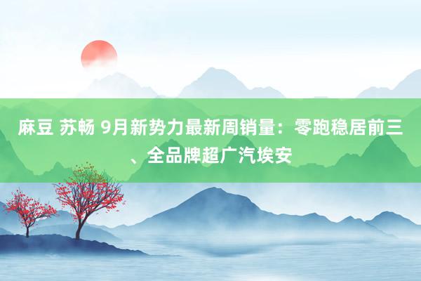 麻豆 苏畅 9月新势力最新周销量：零跑稳居前三、全品牌超广汽埃安