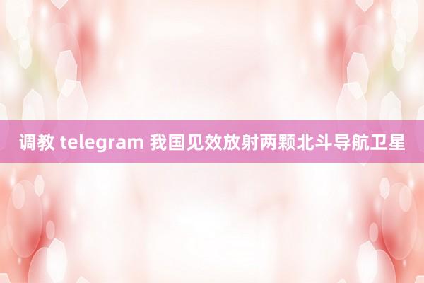 调教 telegram 我国见效放射两颗北斗导航卫星