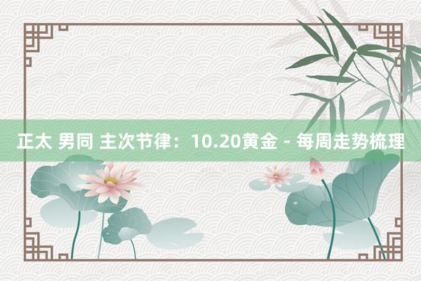 正太 男同 主次节律：10.20黄金 - 每周走势梳理