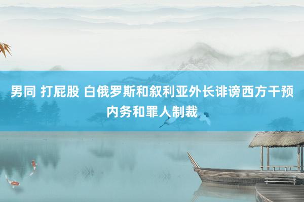 男同 打屁股 白俄罗斯和叙利亚外长诽谤西方干预内务和罪人制裁