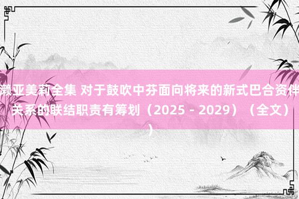 濑亚美莉全集 对于鼓吹中芬面向将来的新式巴合资伴关系的联结职责有筹划（2025－2029）（全文）