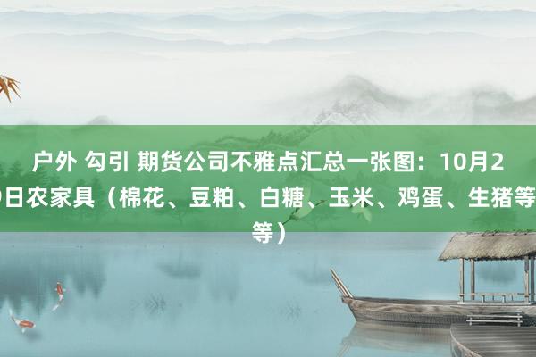 户外 勾引 期货公司不雅点汇总一张图：10月29日农家具（棉花、豆粕、白糖、玉米、鸡蛋、生猪等）