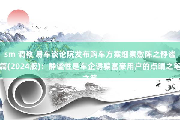 sm 调教 易车谈论院发布购车方案细察敷陈之静谧篇(2024版)：静谧性是车企诱骗富豪用户的点睛之笔