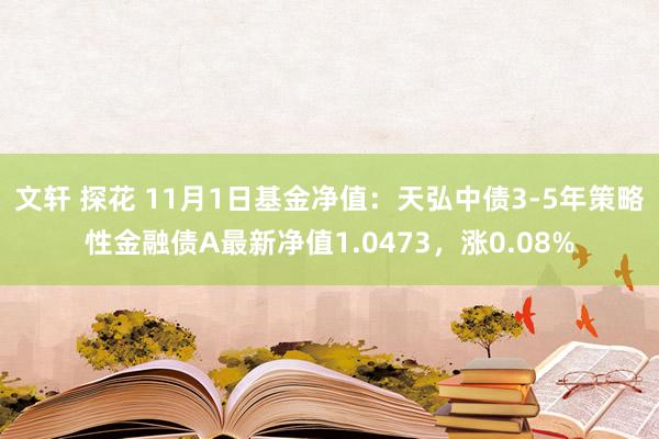 文轩 探花 11月1日基金净值：天弘中债3-5年策略性金融债A最新净值1.0473，涨0.08%