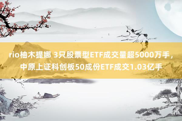 rio柚木提娜 3只股票型ETF成交量超5000万手，中原上证科创板50成份ETF成交1.03亿手