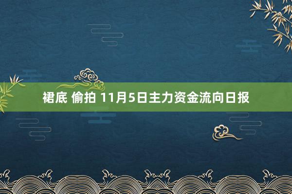 裙底 偷拍 11月5日主力资金流向日报