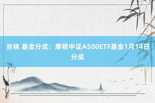 丝袜 基金分成：摩根中证A500ETF基金1月14日分成