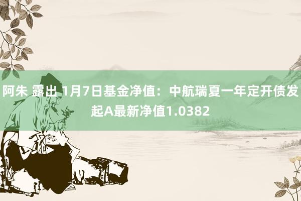 阿朱 露出 1月7日基金净值：中航瑞夏一年定开债发起A最新净值1.0382