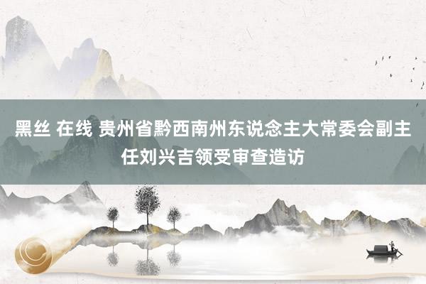 黑丝 在线 贵州省黔西南州东说念主大常委会副主任刘兴吉领受审查造访