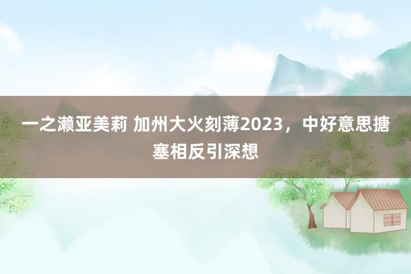 一之濑亚美莉 加州大火刻薄2023，中好意思搪塞相反引深想