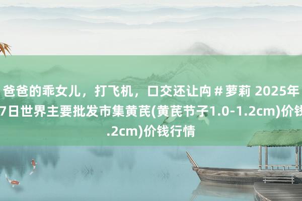 爸爸的乖女儿，打飞机，口交还让禸＃萝莉 2025年1月17日世界主要批发市集黄芪(黄芪节子1.0-1.2cm)价钱行情